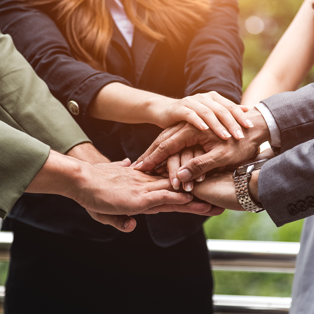 Click to visit Our People